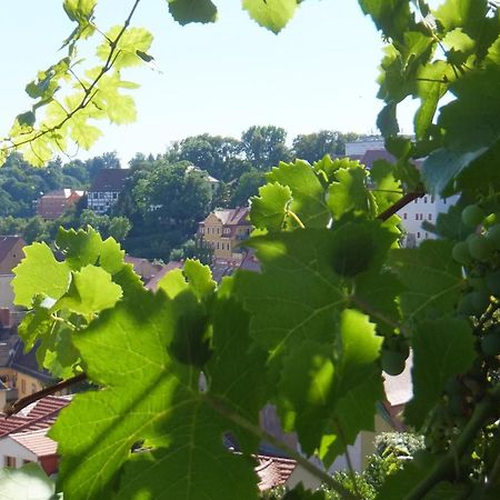 Hotel Schlossberg Meissen Extérieur photo