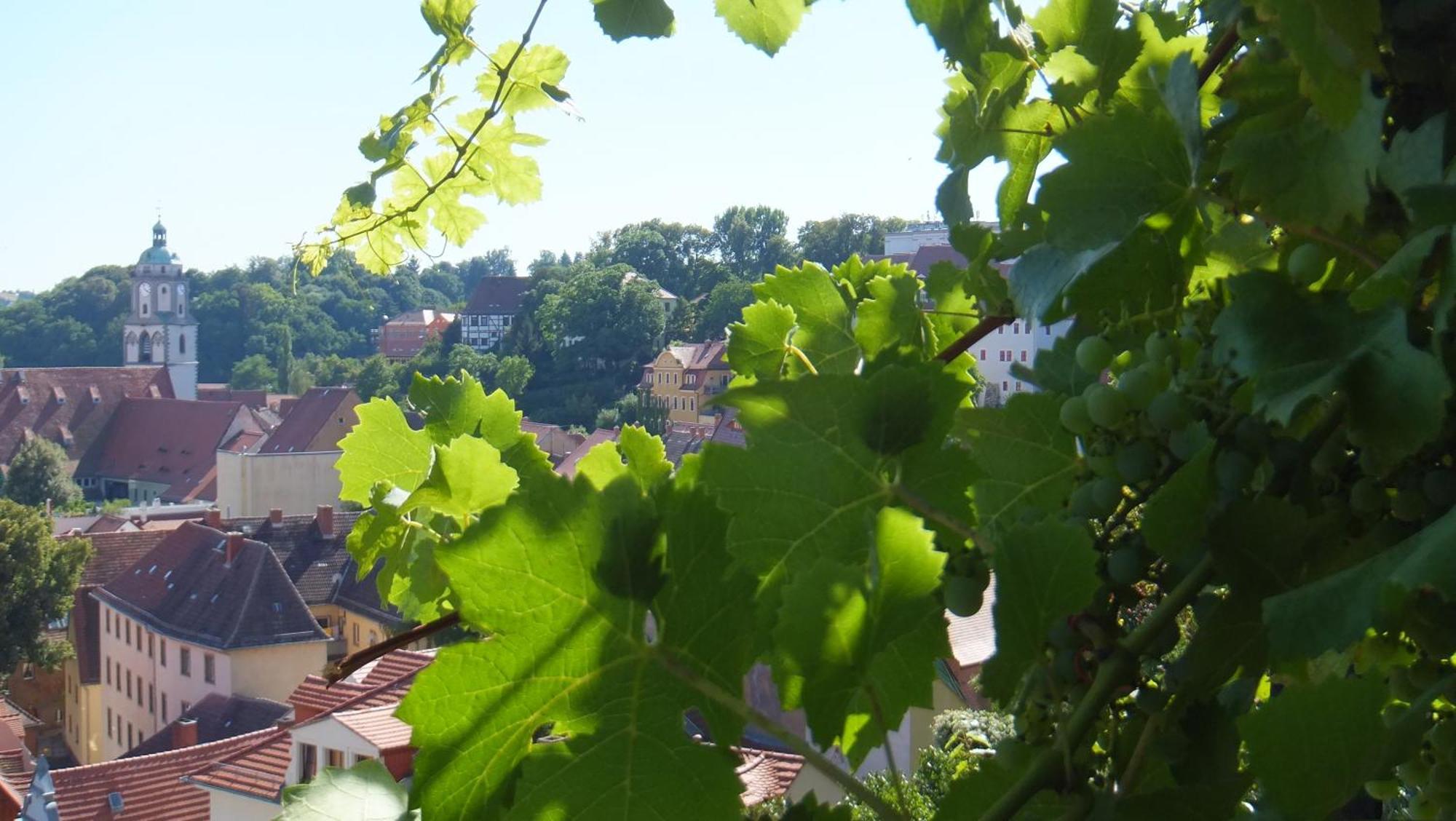 Hotel Schlossberg Meissen Extérieur photo